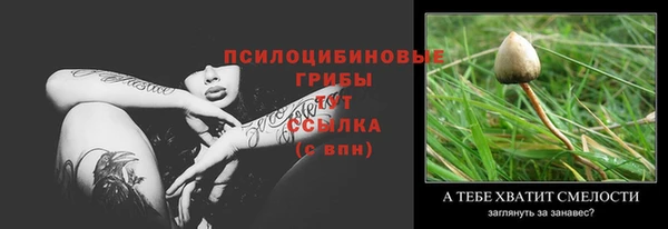 соль курить ск Касимов