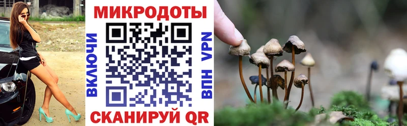 Псилоцибиновые грибы Magic Shrooms  Купить  Дедовск 